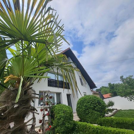 Vila Jovana فردنيك المظهر الخارجي الصورة