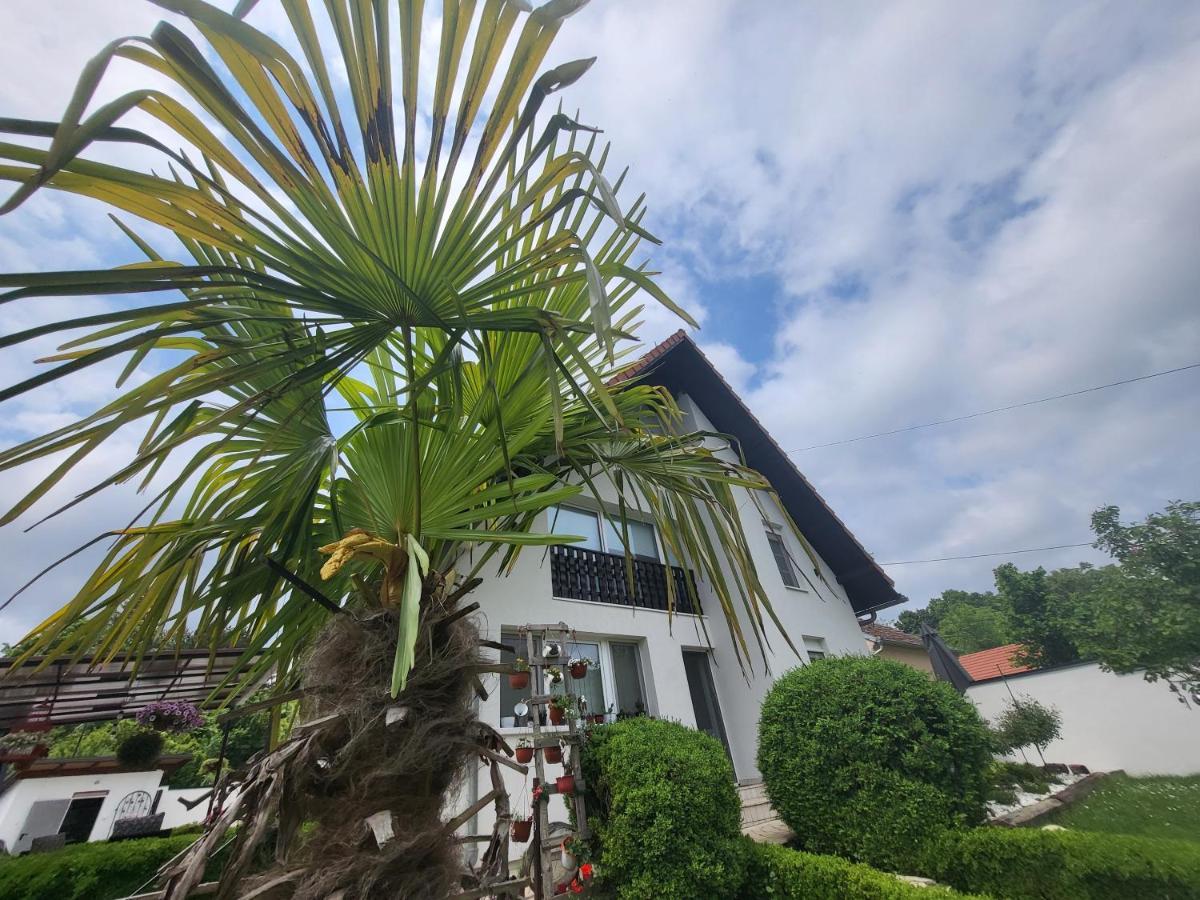 Vila Jovana فردنيك المظهر الخارجي الصورة