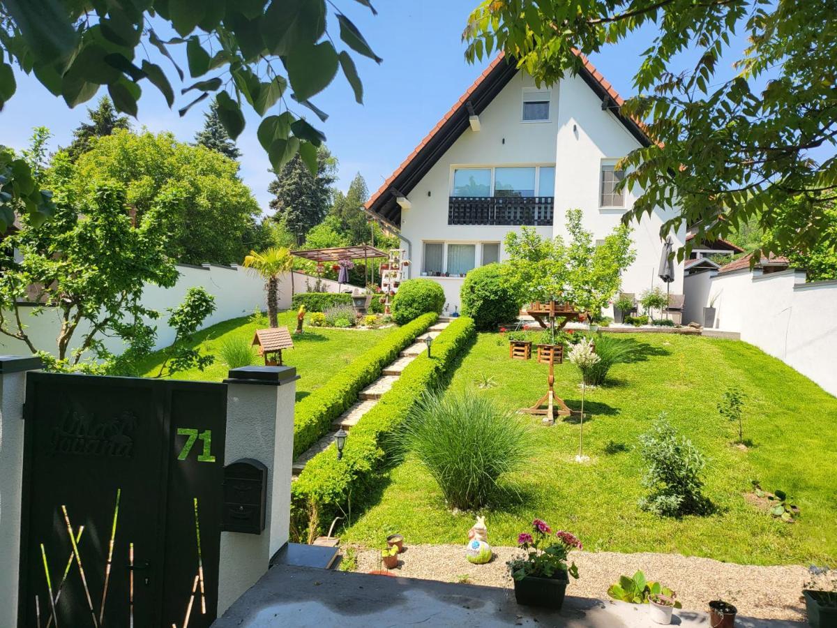 Vila Jovana فردنيك المظهر الخارجي الصورة