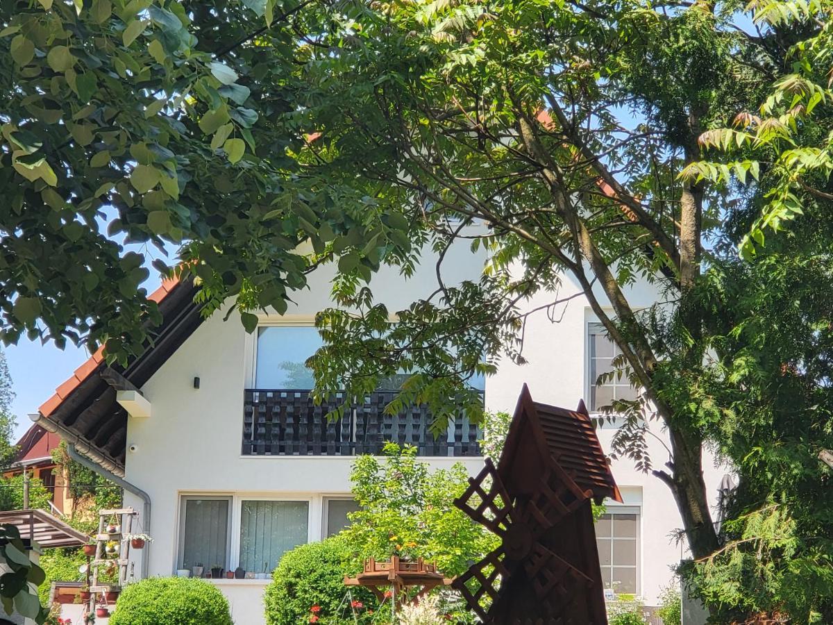 Vila Jovana فردنيك المظهر الخارجي الصورة