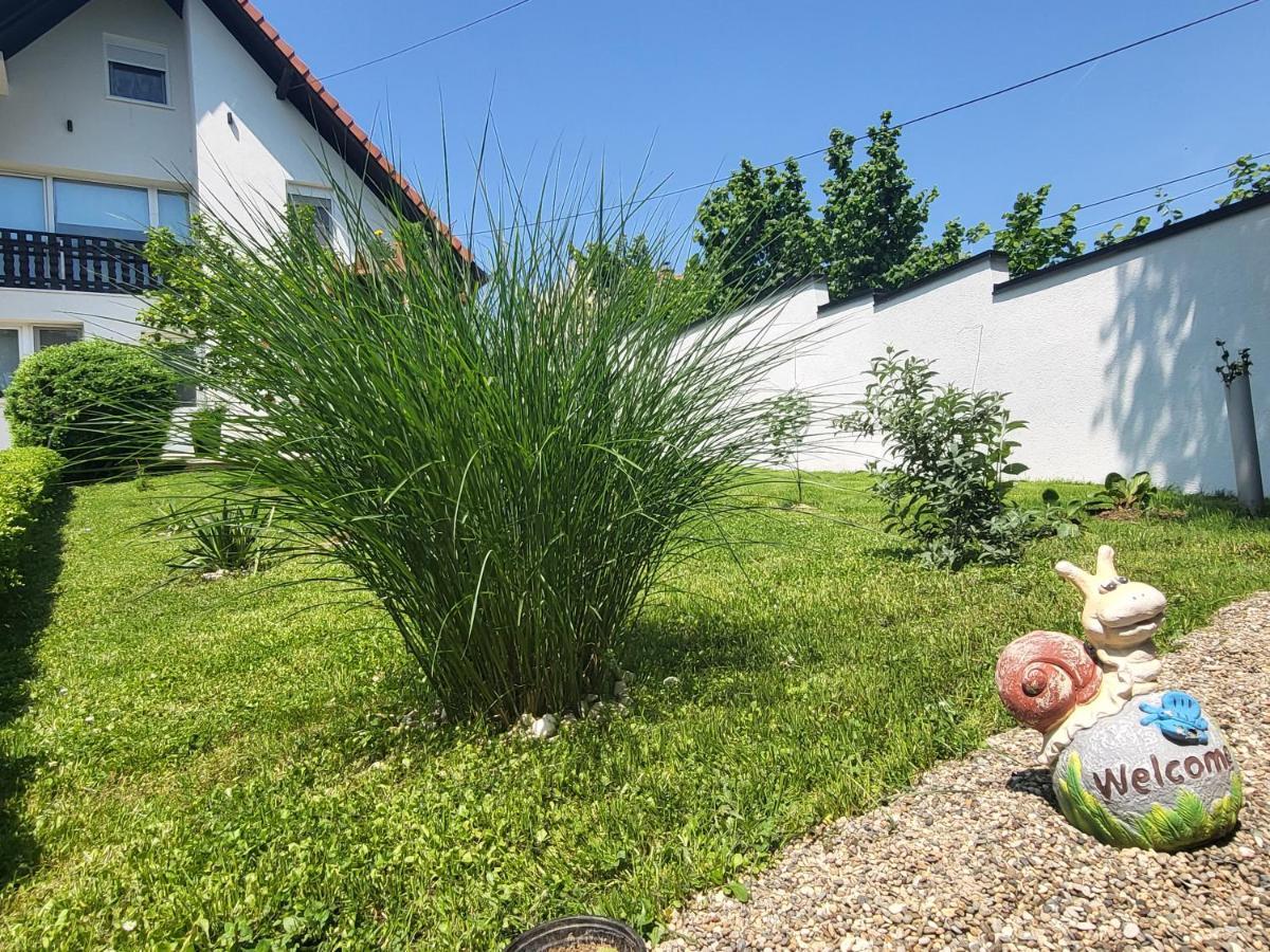 Vila Jovana فردنيك المظهر الخارجي الصورة