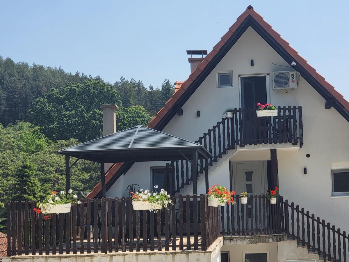 Vila Jovana فردنيك المظهر الخارجي الصورة