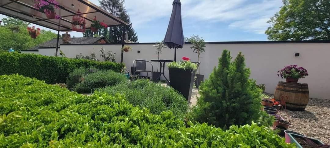 Vila Jovana فردنيك المظهر الخارجي الصورة