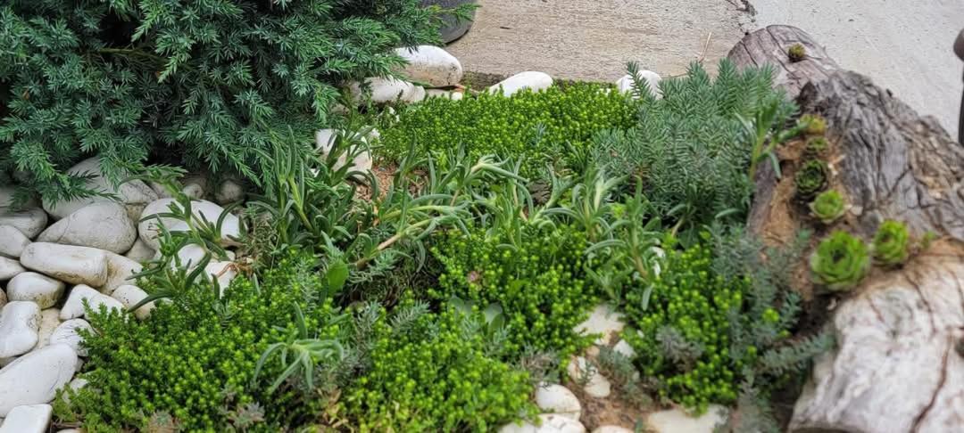 Vila Jovana فردنيك المظهر الخارجي الصورة