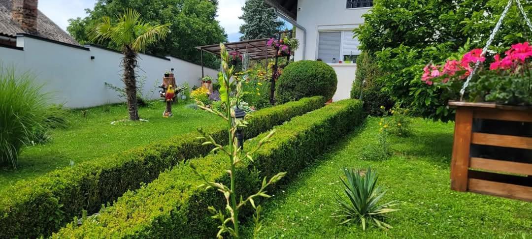 Vila Jovana فردنيك المظهر الخارجي الصورة