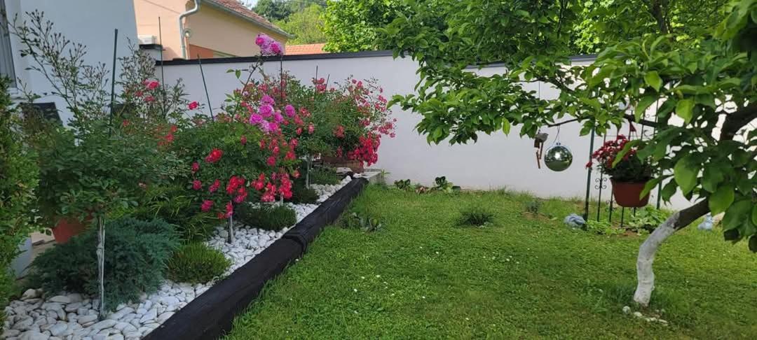 Vila Jovana فردنيك المظهر الخارجي الصورة