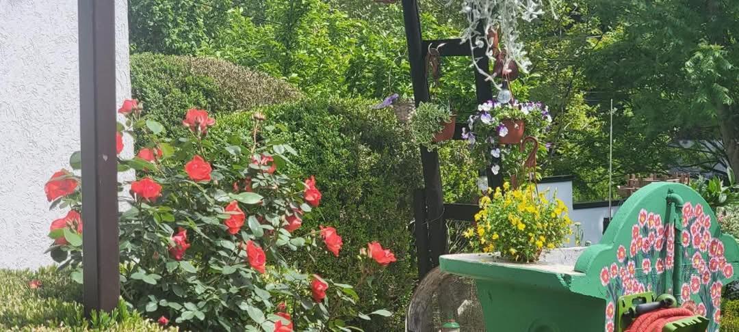 Vila Jovana فردنيك المظهر الخارجي الصورة