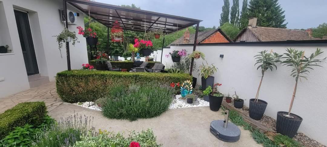 Vila Jovana فردنيك المظهر الخارجي الصورة