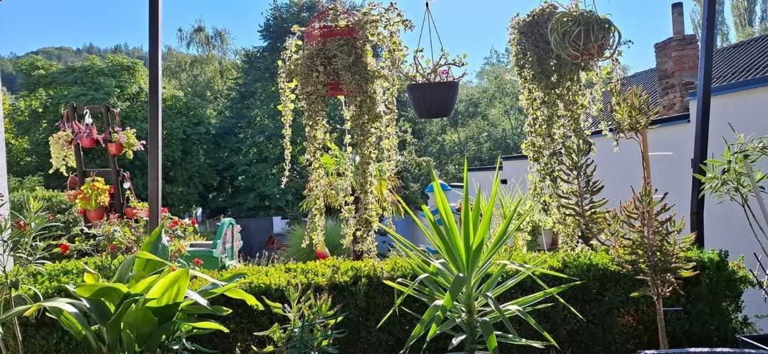 Vila Jovana فردنيك المظهر الخارجي الصورة