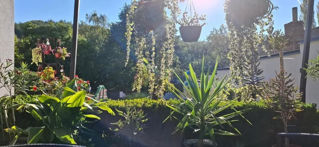 Vila Jovana فردنيك المظهر الخارجي الصورة